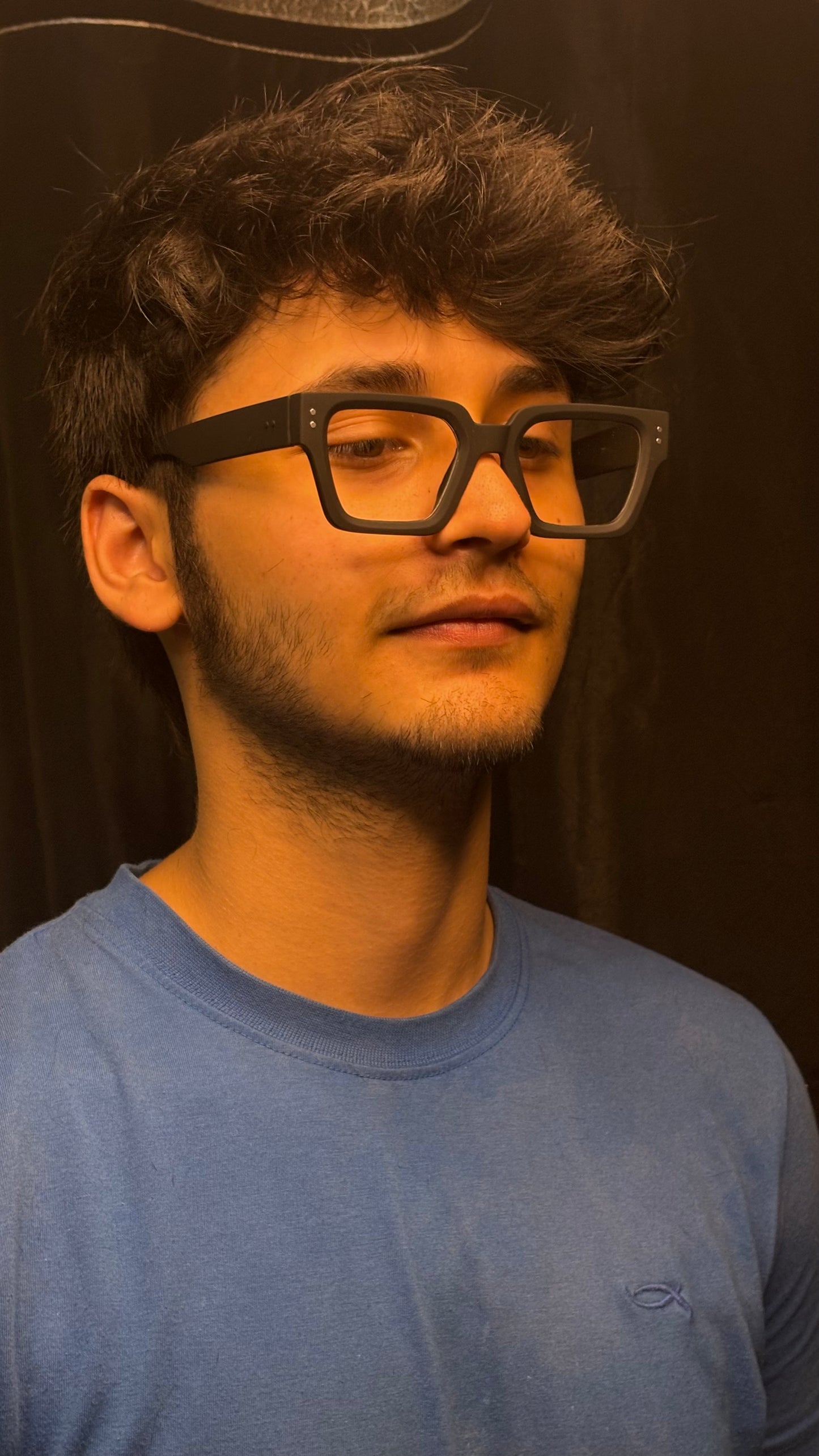 PROFESSOR